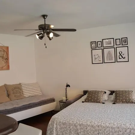 Grand Studio Climatise Proche Plages Juan Les Pins Apartment *