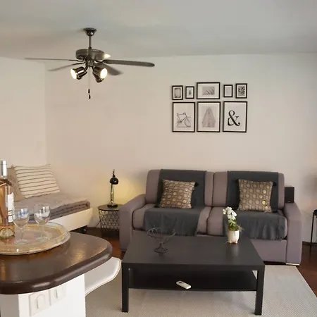 Grand Studio Climatise Proche Plages Juan Les Pins Apartment