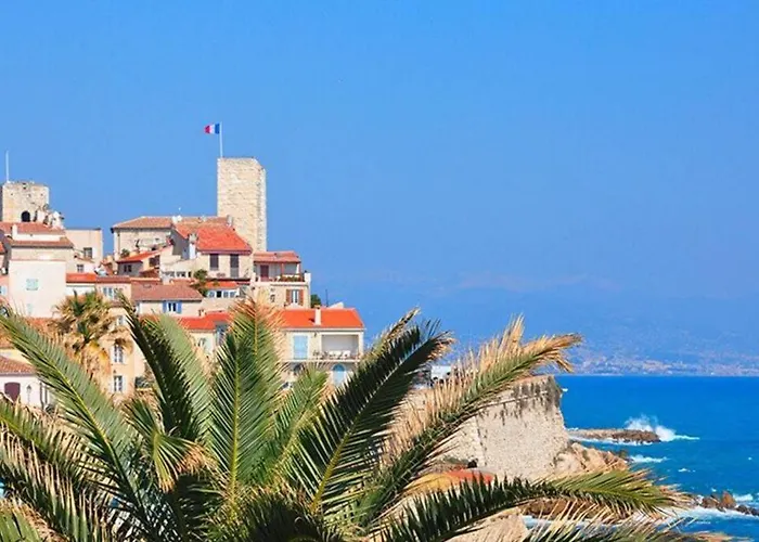Grand Climatise Proche Plages Juan Les Pins 公寓 昂蒂布